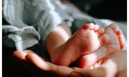 Viral Penggerebekan Rumah Bidan di Pakem Sleman, Terungkap jadi Tempat Penitipan 11 Bayi Tanpa Izin Operasional