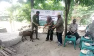 Dari Kalikur WL, Lembata: 23 Ekor Kambing Tebar Harapan, Peternak Sambut Masa Depan Baru
