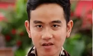 Harta Gibran Berubah Setelah Jadi Wapres, Segini Selisih Kekayaannya