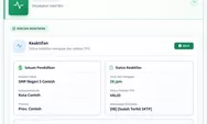 Cara Cek Kode Status Info GTK Terbaru, Kenali Arti Kode 07, 08, 13 dan 29