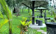 Healing di Karawang? Wisata Alam Kaliwungu Hadirkan Hutan Warna yang Unik dan Instagramable