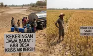 Kekeringan Makin Meluas di Jawa Barat, Belasan Ribu Hektare Sawah Terancam dan Ratusan Ribu Warga Krisis Air