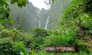 Tersembunyi di Balik Kabut Sukabumi, Lembah Purba Tawarkan Pesona Alam Memesona