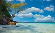  Pantai Ligota, Permata Wisata Manggarai Timur yang Menyatukan Keindahan Alam dan Kehidupan Masyarakat