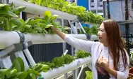 Manfaatkan Lahan Sempit, Kisah BRInita di Jayapura Terapkan Urban Farming Picu Semangat Bertani