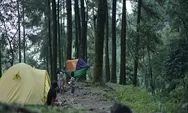 Tak Mahal untuk Mengeksplorasi Keindahan Alam Bogor, Kunjungi Destinasi Wisata Alam dan Pegunungan Terbaru 2024