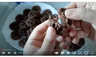 Cara mudah membuat cookies coklat choco chips ala Mama Naufal cita rasa renyah dan lezat