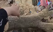Tumpukan Kayu Gelondongan Jadi Akses Darurat Relawan Salurkan Bantuan ke Warga Terdampak Banjir Aceh