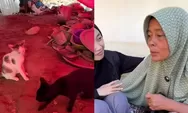 Kisah Haru Warga Pidie Jaya, Tetap Memasak di Dapur Umum Meski Ikut Terdampak Banjir