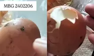 Viral Telur Rebus MBG Diduga Masih Kotor di Kabupaten Magetan, Publik Soroti Pengawasan Dapur Penyedia