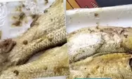 Temuan Belatung pada Menu Ikan Bandeng MBG di SDN Rong Tengah 2 Sampang Jadi Sorotan Publik