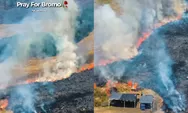 Api Kebakaran Gunung Bromo Merambat ke Malang, Wisatawan Diminta Gunakan Tiga Jalur Alternatif
