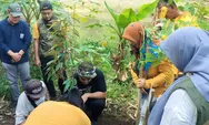 Lestarikan Alam, Pemkot Tasikmalaya Gelar Jumat Menanam Bersama Dinas Kehutanan Jawa Barat