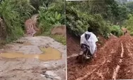 Guru Lampung Barat Viral Lewati Jalan Berlumpur Demi Mengajar, Potret Akses Pendidikan yang Terabaikan