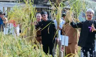 Target 2026, Ciamis Mantapkan Langkah Menuju Kabupaten Organik Lewat Penguatan Pertanian Organik