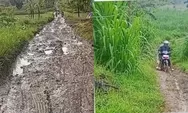 Video Guru di Grobogan Viral, Jalan Berlumpur Menuju SDN 4 Pandanharum Disorot Publik