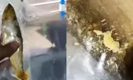 Bandeng Presto MBG di Ponorogo Viral Berisi Belatung, SPPG Cahaya Ngrayun Buka Suara