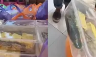 SMAN 2 Pamekasan Kembalikan 1.022 Porsi Makan Bergizi Gratis dari SPPG As-Salman, Menu Lele Mentah Jadi Sorotan