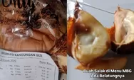 Viral MBG Pekalongan, Buah Salak Berbelatung di SDN 1 Kepatihan, BGN Pekalongan Langsung Ambil Tindakan