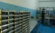 Viral SPPG Lembursitu Sukabumi dan Program MBG Disorot, Eks Akuntan Bongkar Dugaan Mark Up Pengadaan Pangan