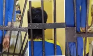 Tahanan Bantul Menangis Tanpa Kunjungan Keluarga, Polisi Hadir Bawa Kue Lebaran di Balik Jeruji, Viral! 