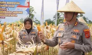 Panen Raya Jagung di Cisayong, Polres Tasikmalaya Kota Berhasil Produksi 10 Ton