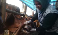 Sidak Diky Chandra: Harga Hewan Kurban di Kota Tasikmalaya Naik Hingga 20 Persen, Kesehatan Fisik Dipastikan Aman