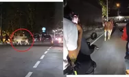 Viral Sapi Kurban Lepas di Dekat Stasiun Klaten, Warga Panik Kejar hingga Jalanan Mendadak Ricuh
