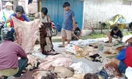 Penjualan Kulit Hewan Kurban Lebaran 1447 H di Kota Tasikmalaya Menurun, Harga Kulit Ikut Turun