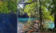 Dijuluki Kepingan Surga! Ini Pesona Telaga Biru Cicerem, Objek Wisata Kuningan Jawa Barat yang Punya Air Sebening Kristal
