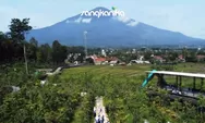 Sangkanika Kuningan, Wisata Edukatif Terbaik dengan Kebun Buah Naga Kuning Terbesar di Indonesia