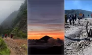 Gunung Papandayan Garut Tak Pernah Sepi, Jalur Pendakian Ramah dan Hutan Mati Jadi Daya Tarik