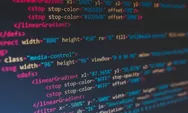Gencar Beritakan Dugaan Korupsi, Media Mitra Promedia Group Dihantam Serangan DDoS hingga 160 Juta Request
