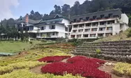 Puncak Pass Resort, Wisata Cianjur Bersejarah sejak 1928 dengan Panorama Alam dan Kuliner Heritage