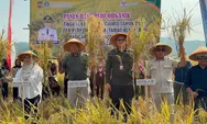 Panen Raya Klaster Padi Pamarican Capai 7,5 Ton per Hektare, Bank Indonesia Perkuat Ketahanan Pangan Ciamis