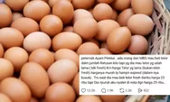 Viral Peternak Ungkap Dugaan Permintaan Telur Hampir Busuk dari Dapur MBG, Harga Nota Disebut Dimarkup
