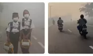 Karhutla Kalimantan Picu Kabut Asap ke Malaysia, 108 Sekolah Ditutup dan 13 Wilayah Terdampak