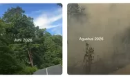 Kabut Asap Karhutla Selimuti Biak Numfor Papua, Warga Cerita Dugaan Hutan Sengaja Dibakar