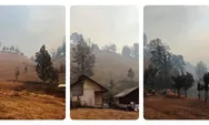 Karhutla Gunung Semeru, Ranu Kumbolo Diselimuti Asap Tebal, Guide dan Relawan Buat Sekat Bakar