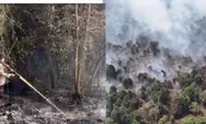 Karhutla Riau 2026 Bakar 904 Hektare, Polda Riau Ungkap 40 Tersangka dan Dugaan Motif Buka Lahan