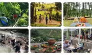 Destinasi Wisata Bogor, Hutan Hujan Sentul Hadirkan Wisata Alam dengan Hutan Pinus 26 Hektar