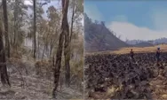Karhutla Jatim Makin Meluas, Gunung Buthak-Kawinajang Terbakar 1.000 Hektare, Water Bombing Terkendala Angin