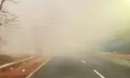 Kabut Asap Karhutla Kembali Pekat di Kalsel, Jarak Pandang Warga Menurun, Banjarmasin Perpanjang PJJ