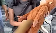 Dugaan Pelecehan Konten Boneka di Surabaya Viral, Polisi Turun Tangan Usai Korban Ungkap Pengalaman di Jalan Tunjungan