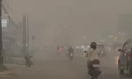 Kabut Asap Pekat Kembali Selimuti Kalimantan, Unggahan Warga Ramai Singgung Pernyataan Aktivitas Normal BNPB