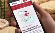 Bansos Beras 30 Kg Lanjut hingga Desember 2026, 33,24 Juta Penerima Bisa Cek Data Lewat HP