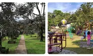 Warso Farm Bogor Tawarkan Destinasi Wisata Edukasi, Kebun Durian Luas dan Belasan Varietas Jadi Daya Tariknya