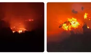 Api Karhutla Dekati Pondok Ladang di Kutai Barat Kaltim, Relawan Kewalahan Hadapi Keterbatasan Alat dan Air