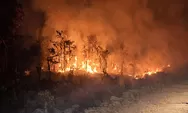 Karhutla Papua Selatan Bakar Ladang Sagu di Merauke, Warga Adat Berjuang Selamatkan Warisan Leluhur