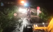 Hujan Lebat di Jombang Sebabkan Pohon Tumbang di Jogoroto dan Keplaksari